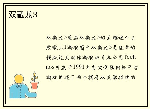 双截龙3